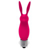 LATETOBED Stimulateur de clitoris Rabbit Hopye 10 x 3cm Rose